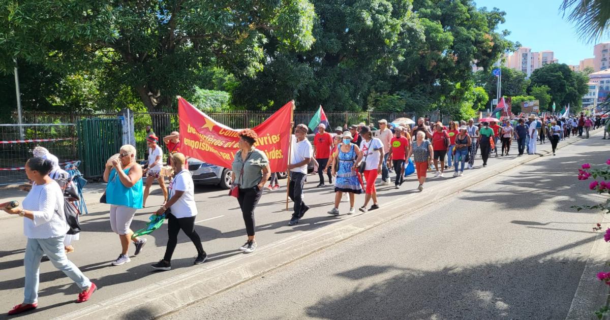 Chlordécone : environ 800 personnes dans les rues de Fort-de-France