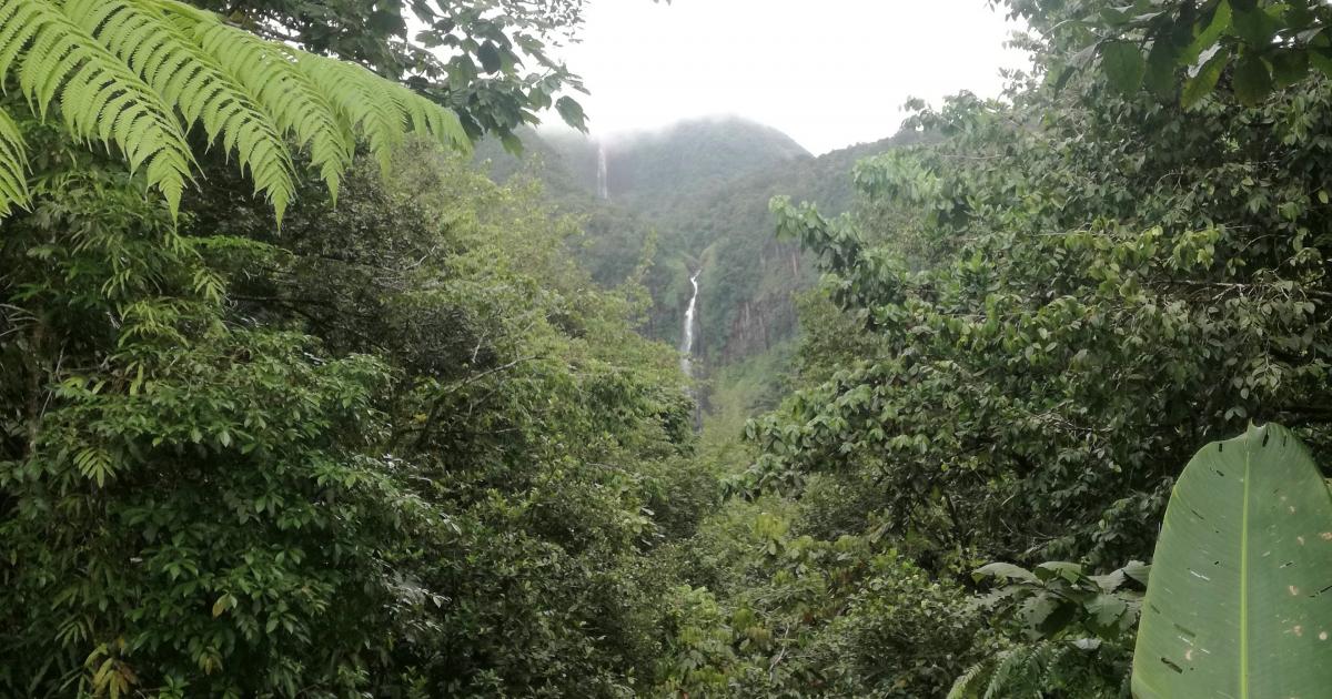 Une femme décède suite à un accident en montagne