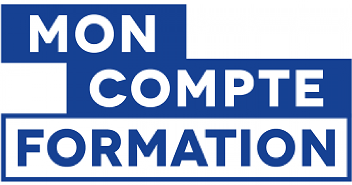 Compte professionnel de formation : les salariés pourraient contribuer au financement