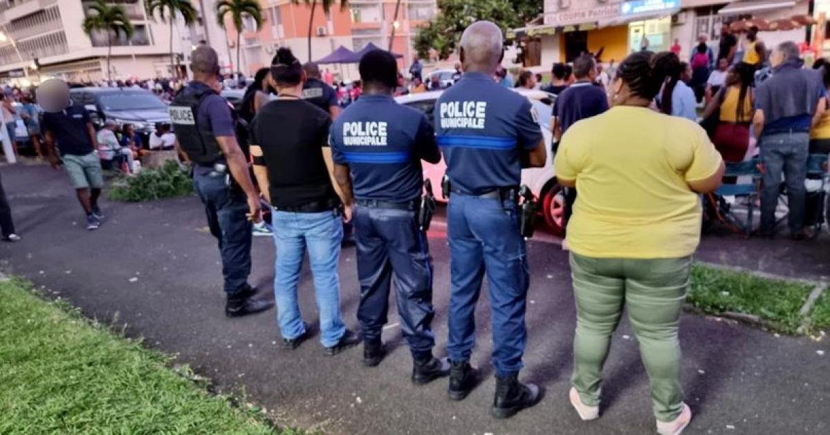 Carnaval : la vente d’alcool et de bouteilles en verre à proximité des défilés sera verbalisée à Pointe-à-Pitre