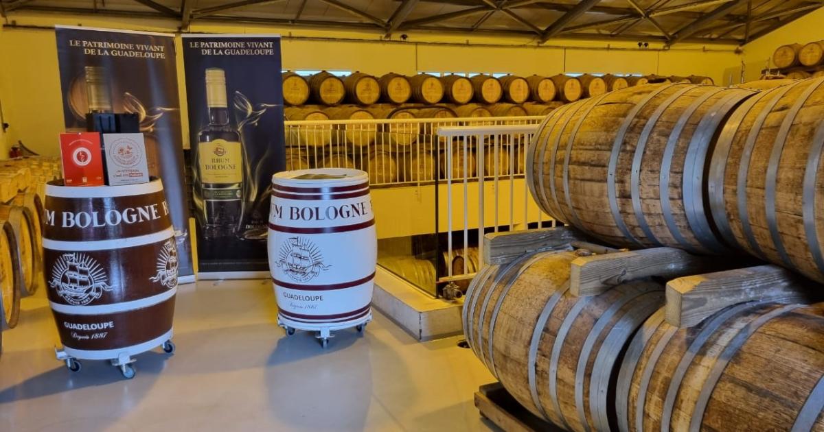     





Nouvelle distinction pour la distillerie Bologne 





