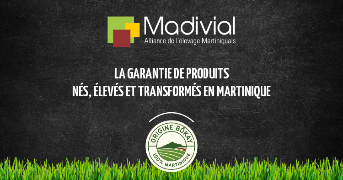 La Garantie Origine Bôkay, un gage de qualité