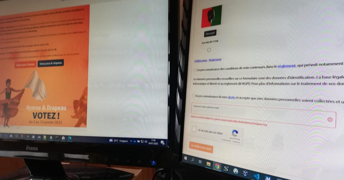 Plus que quelques heures pour voter pour le drapeau et l'hymne