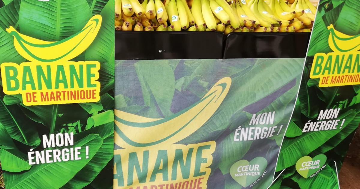 Place à la Banane de Martinique !