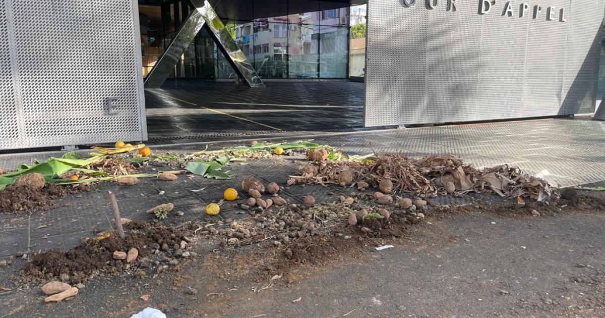 Feuilles de bananier, terre et légumes déversés devant la Cour d’appel de Fort-de-France