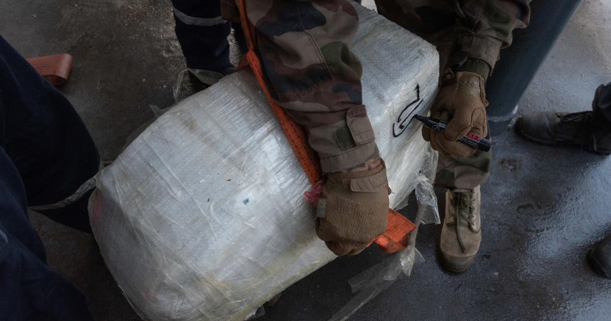 320 kg de cannabis saisis par les Forces armées aux Antilles