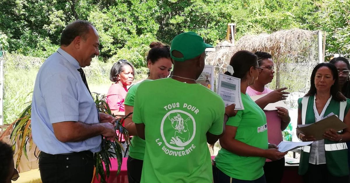 Le projet « Sauver la mangrove à deux pas » fait le bilan