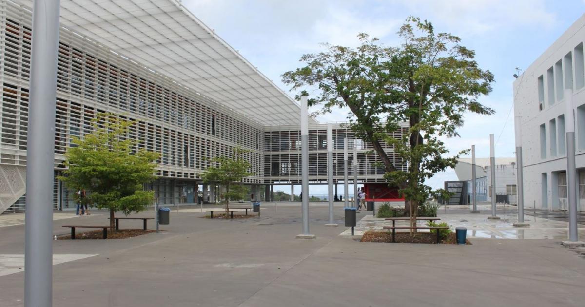 L'université des Antilles fait son entrée dans le prestigieux classement international de Shangaï