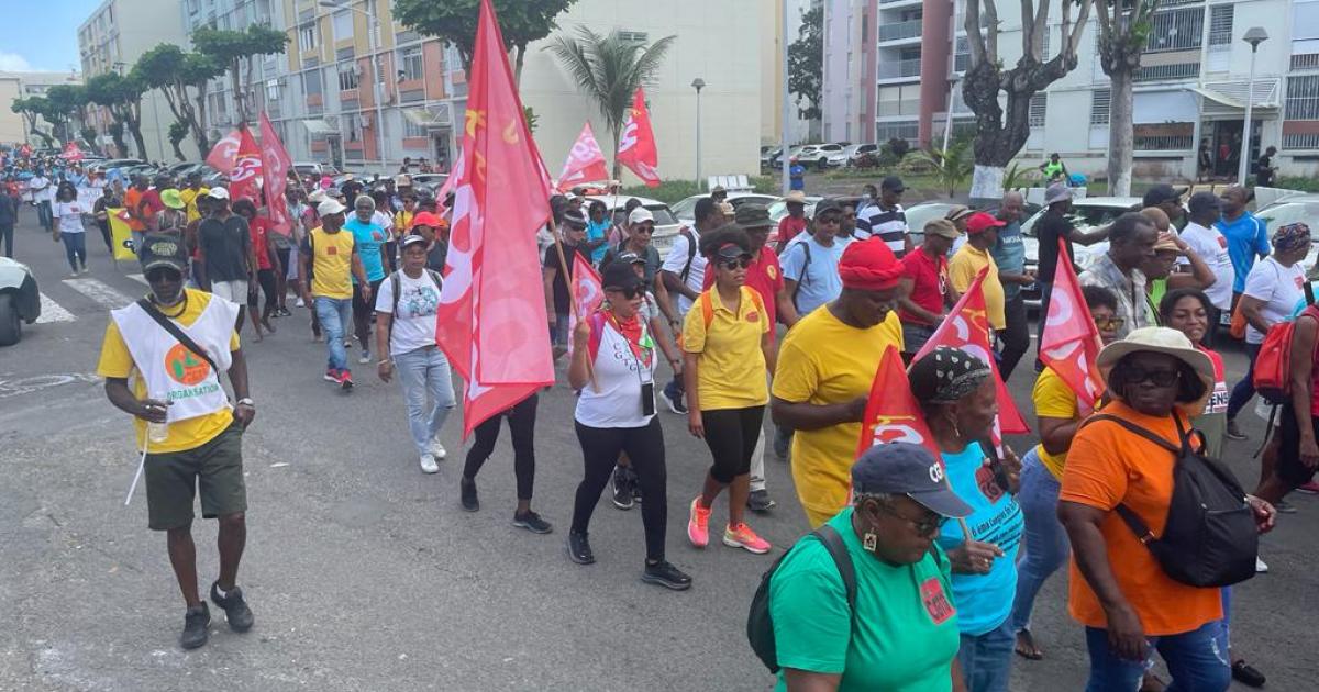     





Réforme des retraites : des centaines de personnes manifestent dans les rues de Pointe-à-Pitre





