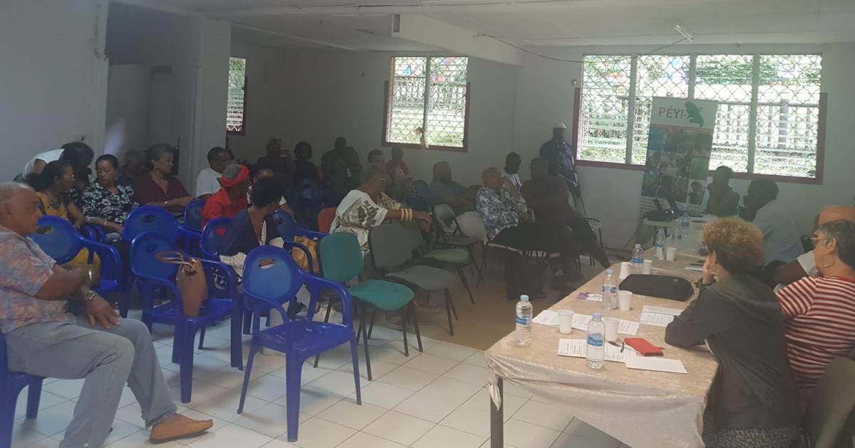 Immigration : défis et opportunités pour la Martinique