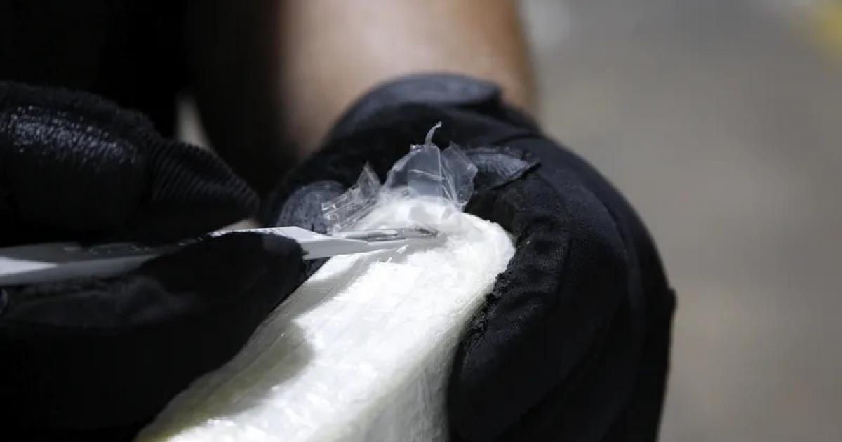     





Intercepté avec une cinquantaine d'ovules de cocaïne dans le corps 




