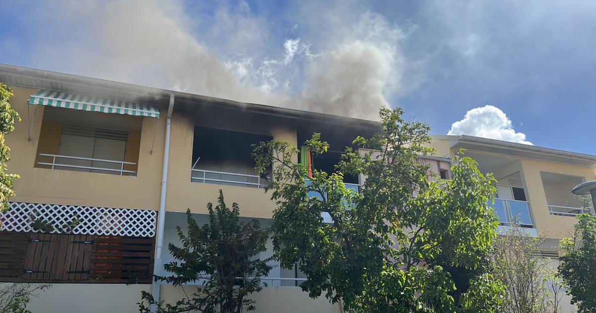    





Une femme secourue dans un feu d'habitation à Gourbeyre




