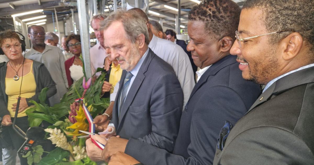 Une matinée de rencontres chargée pour le ministre délégué aux Outre-Mer