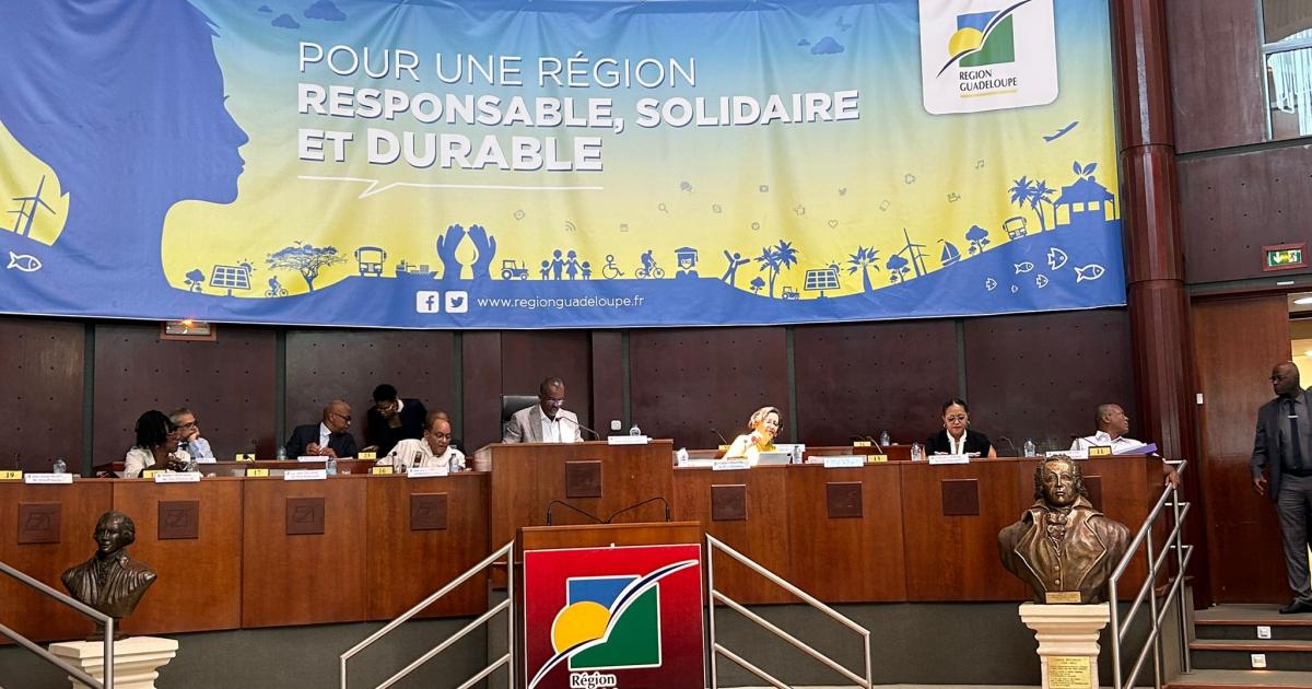 Plénière du conseil régional : l’heure est à l’économie