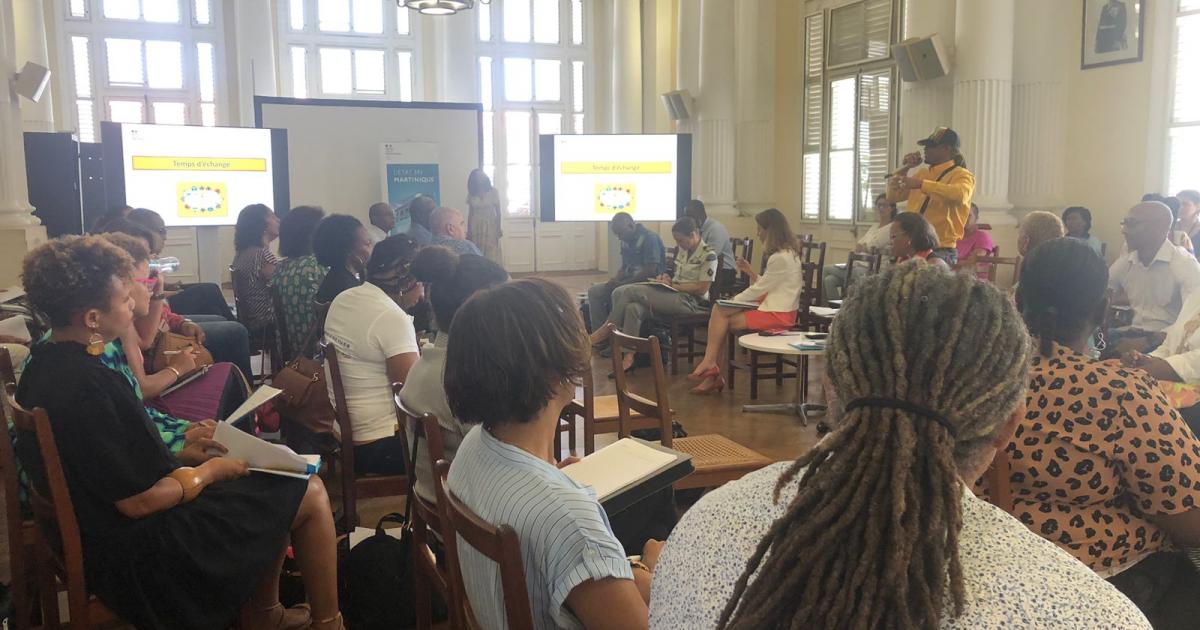 26% des jeunes Martiniquais de 15 à 29 ans ni en emploi, ni en études, ni en formation
