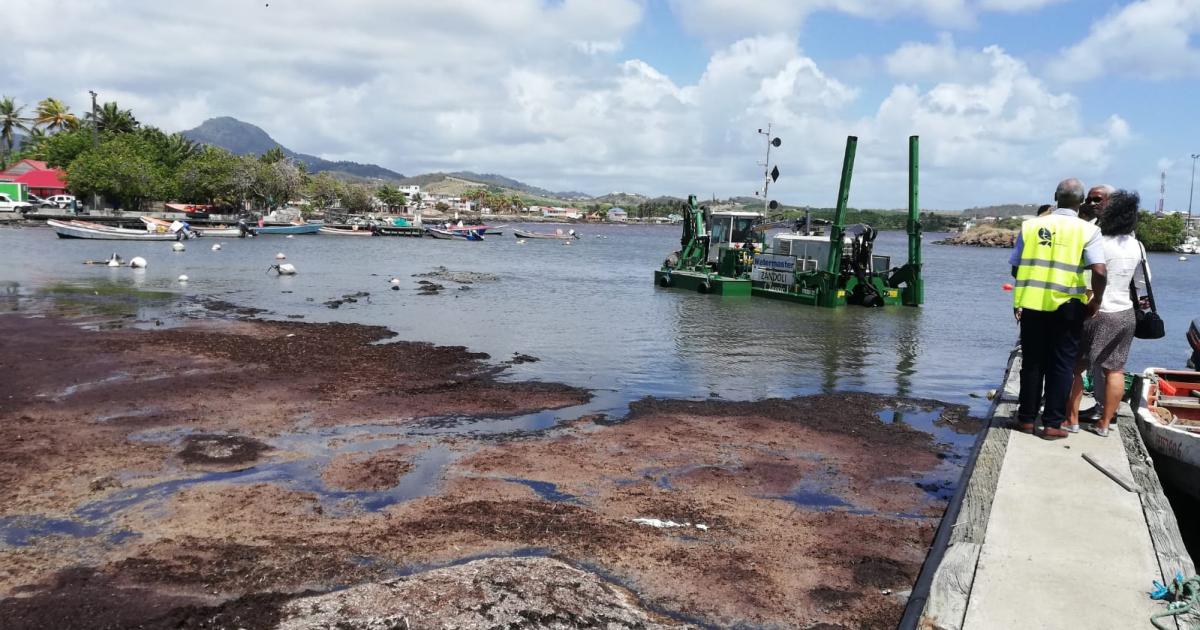 Les travaux de dragage du port de pêche du Vauclin ont enfin commencé