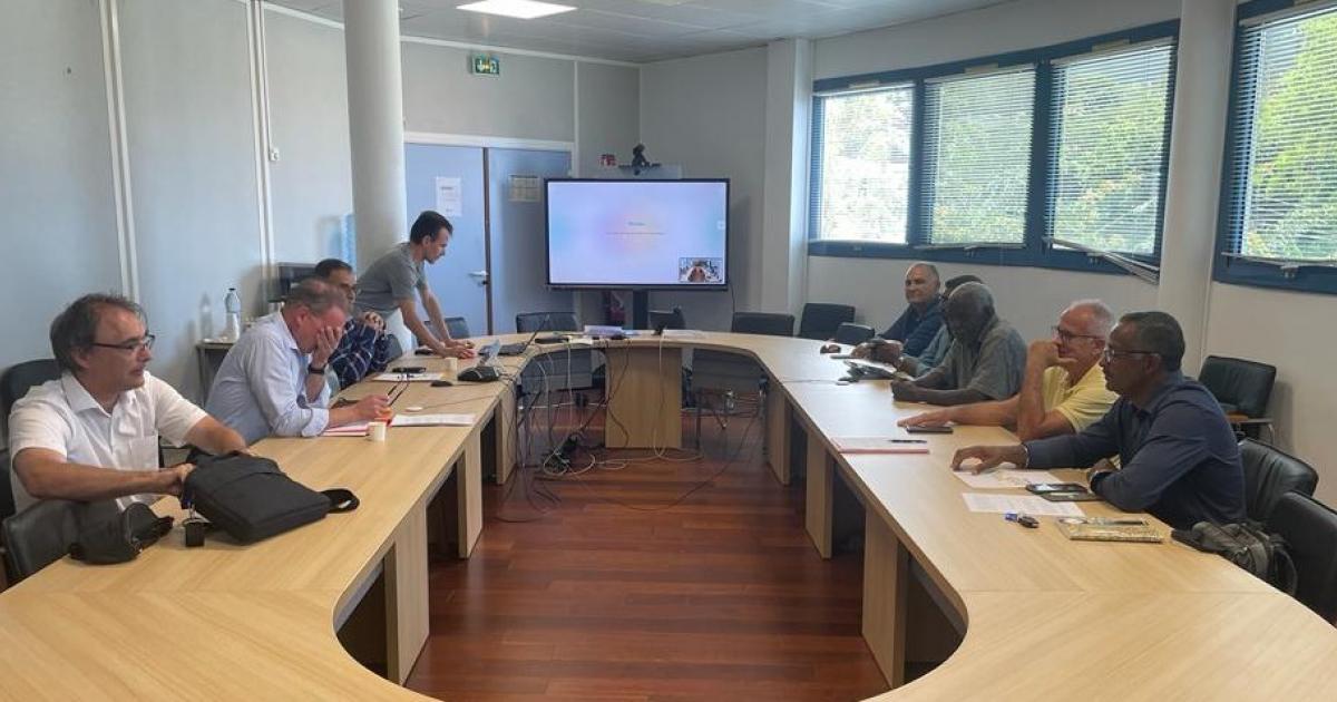     





La campagne sucrière toujours en suspens en Guadeloupe





