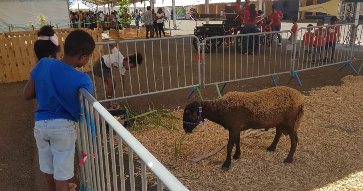 Les animaux de la ferme invités de la Foire Expo à Dillon