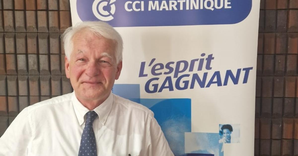 « On pourrait réduire l'écart des prix de presque la moitié », estime l'économiste Olivier Sudrie