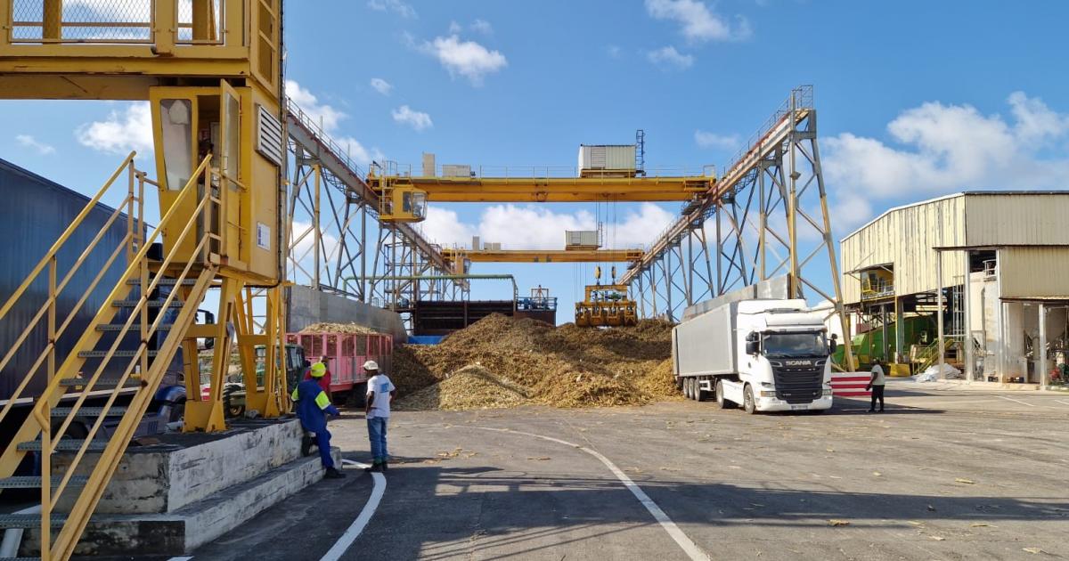 Filière canne : l'usine Gardel confirme ses engagements