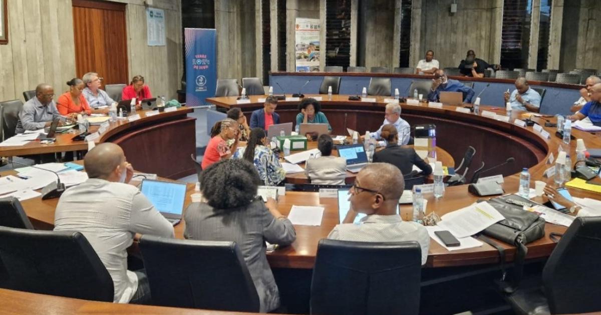     





Un conseil municipal mouvementé à Pointe-à-Pitre




