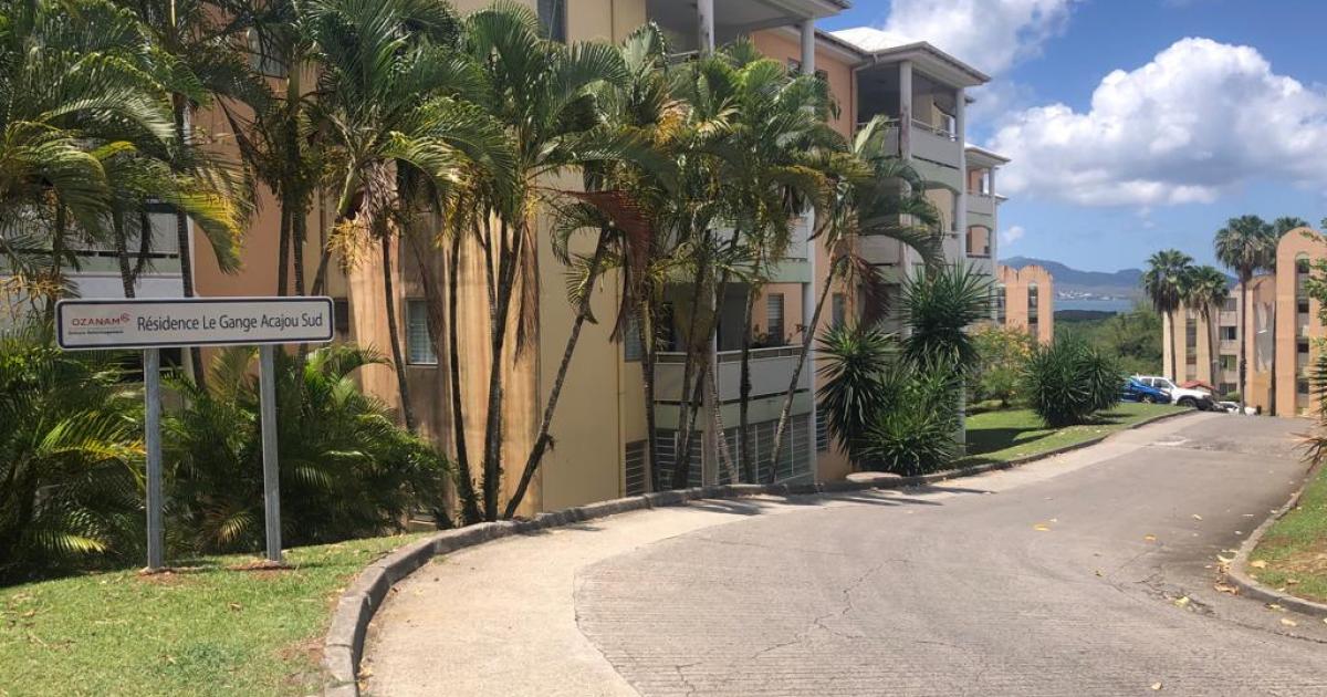     





Homicide à Acajou : tristesse et incompréhension ce matin dans le quartier




