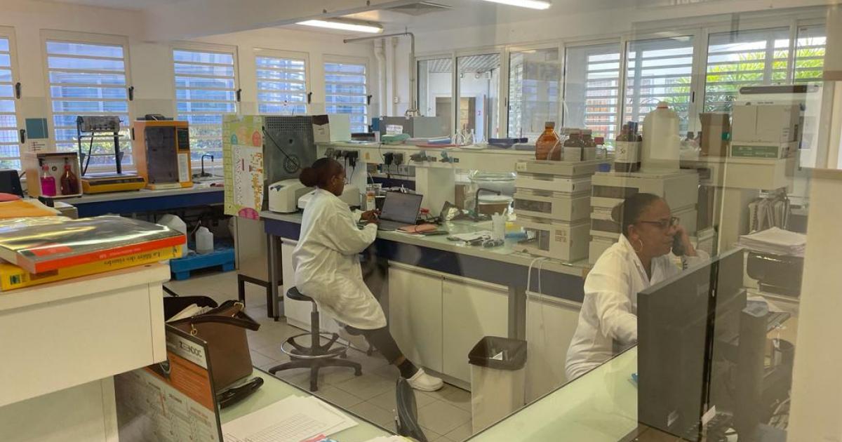 3e édition du prix de l’agro-innovation du PARM : jusqu'au 2 mai pour candidater