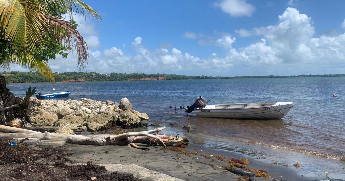 Deux marins-pêcheurs toujours recherchés au large de Capesterre-Belle-Eau