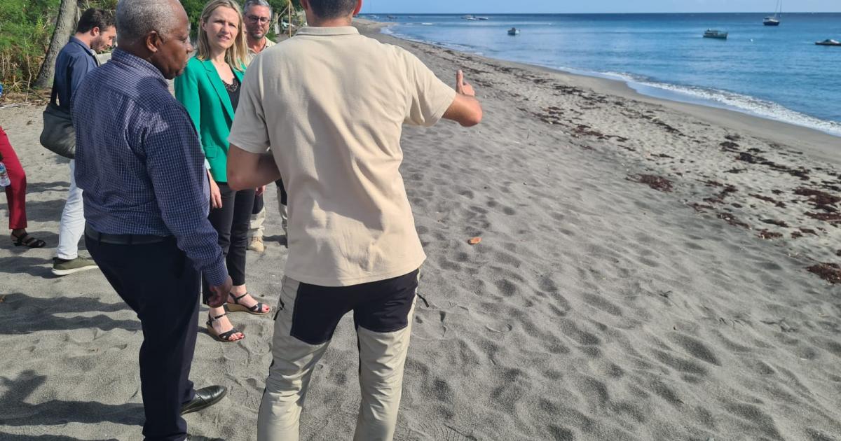 Érosion et mouillage dans le Nord-Caraïbe concluent la visite de la ministre Bérengère Couillard en Martinique