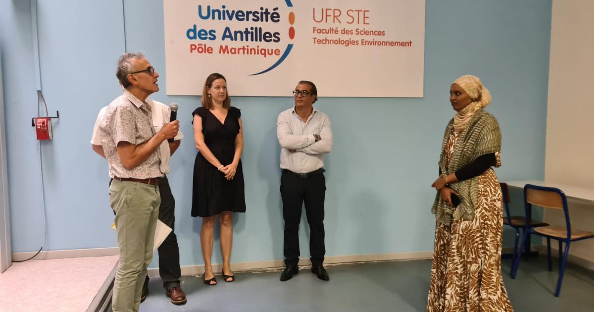 L’impact des sargasses sur la corrosion des métaux prouvée par une thèse menée à l'Université des Antilles