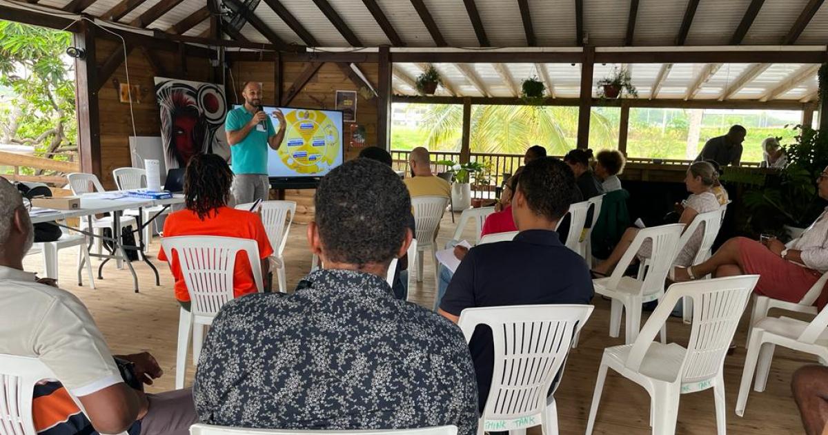    





Lancement du premier atelier participatif sur le thème des énergies renouvelables en Martinique




