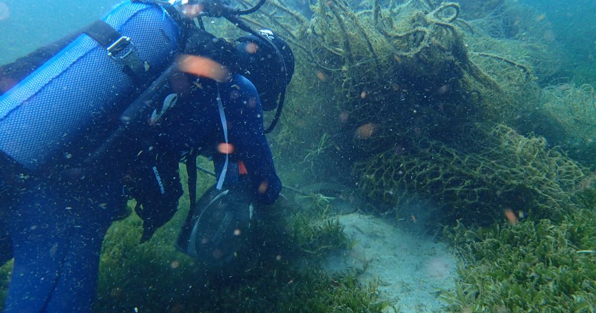     





[En images]  Un filet de pêche abandonné retiré de la mer à Schoelcher 




