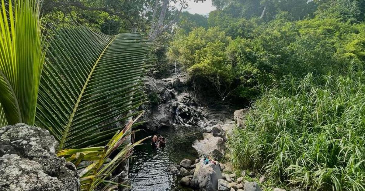     





[CES LIEUX CACHÉS 3/5] La Rivière la coulisse : des bassins et des cascades face à la mer




