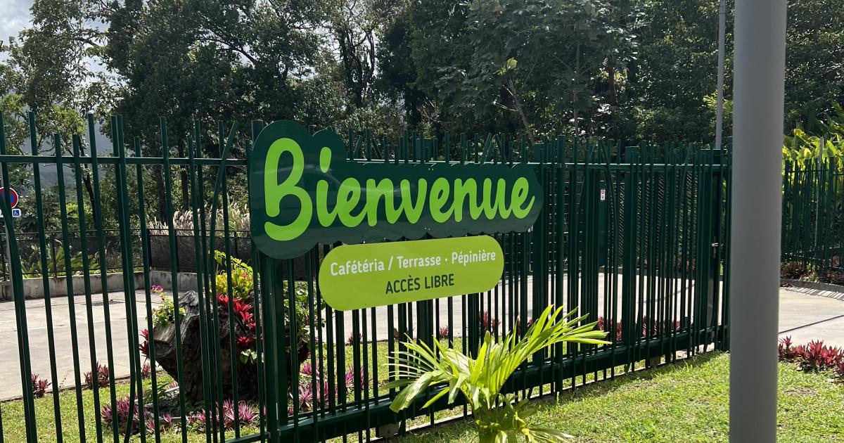     





[SÉRIE DÉCOUVERTE 5/5] Pigeon - Bouillante : Le Parc de la source





