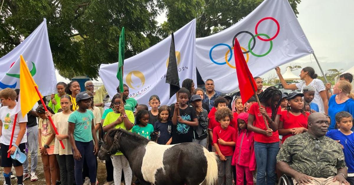     





Les drapeaux des JO de Paris en Guadeloupe, c’est fait !




