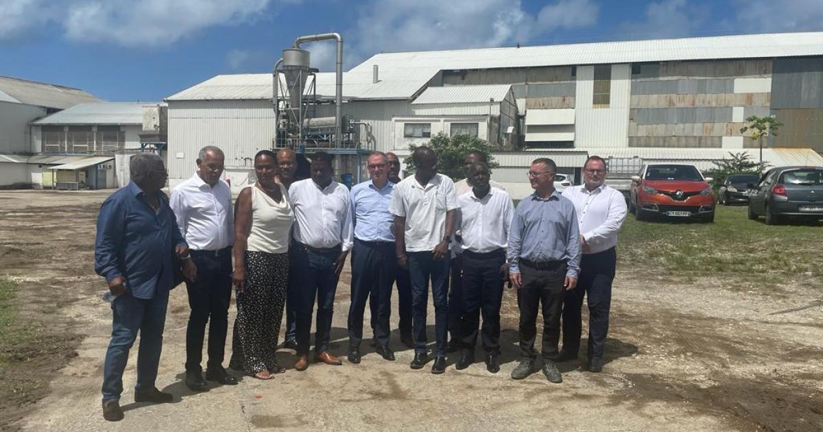     





Marie-Galante : 30 millions d’euros pour la modernisation de l’usine de canne SRMG





