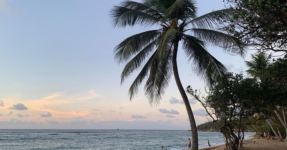     





Un baigneur en arrêt cardio-respiratoire à la plage de l’Anse l’Etang à Tartane




