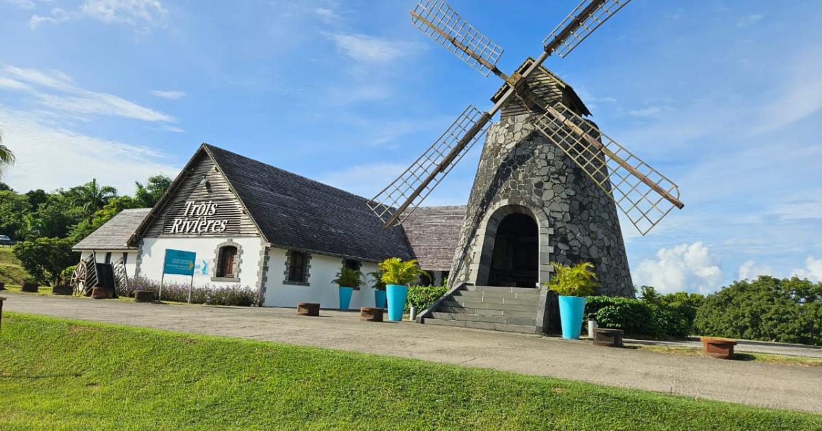     





[DOSSIER 1/2] Rhum : le spiritourisme gagne du terrain en Martinique 




