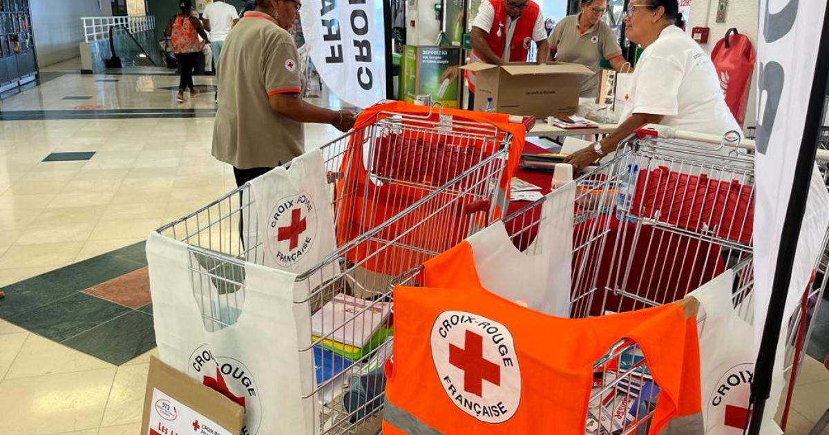 Retour sur l'opération de collecte de fournitures scolaires de la Croix-Rouge