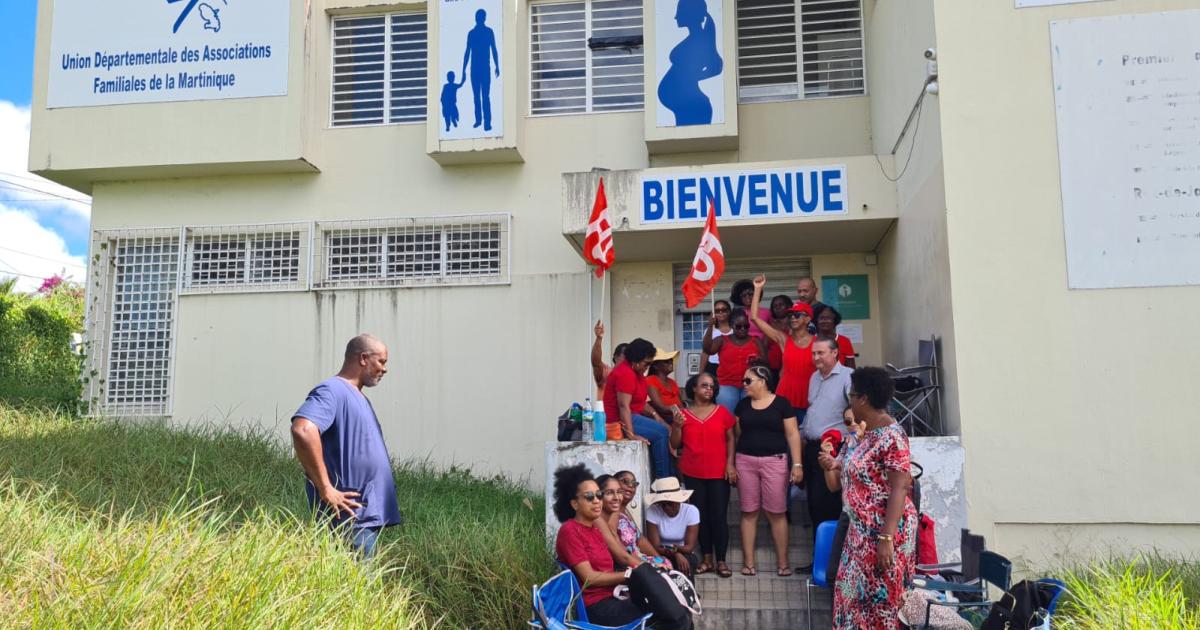     





Les salariés de l’UDAF « en colère » débutent une grève illimitée




