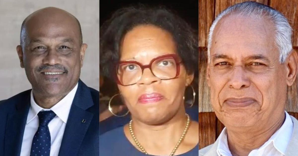 Théophile, Nadille et Lurel, nouveaux sénateurs, et maintenant ?