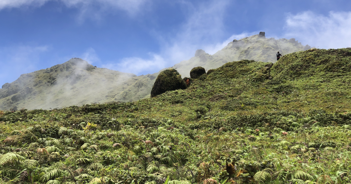     





Pelée et Pitons du Nord à l’Unesco [5/5] : la candidature en chiffres




