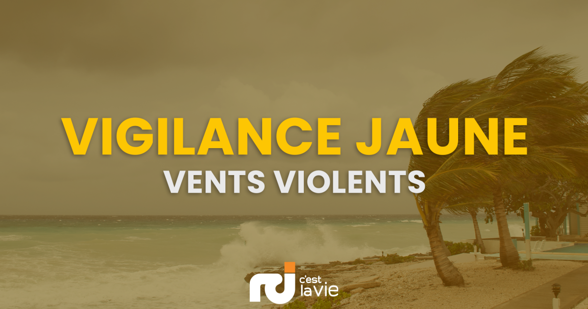 Ouragan « Tammy » : la Martinique repasse en vigilance jaune pour « vents violents »