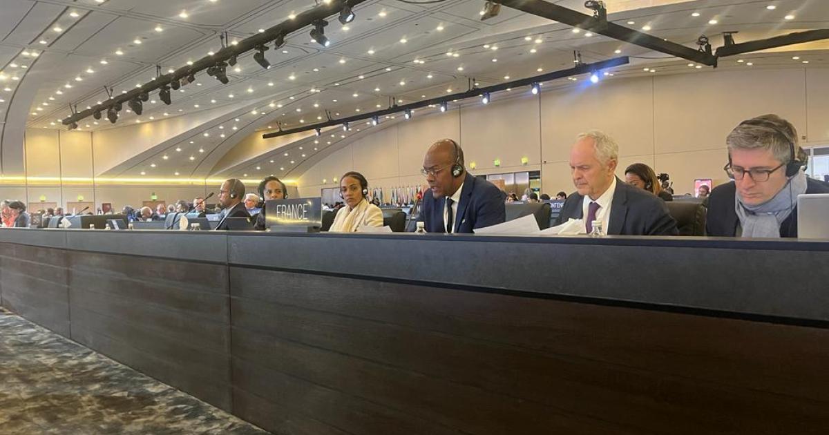     





La Montagne Pelée et les Pitons du Nord sont inscrits au patrimoine mondial de l'UNESCO




