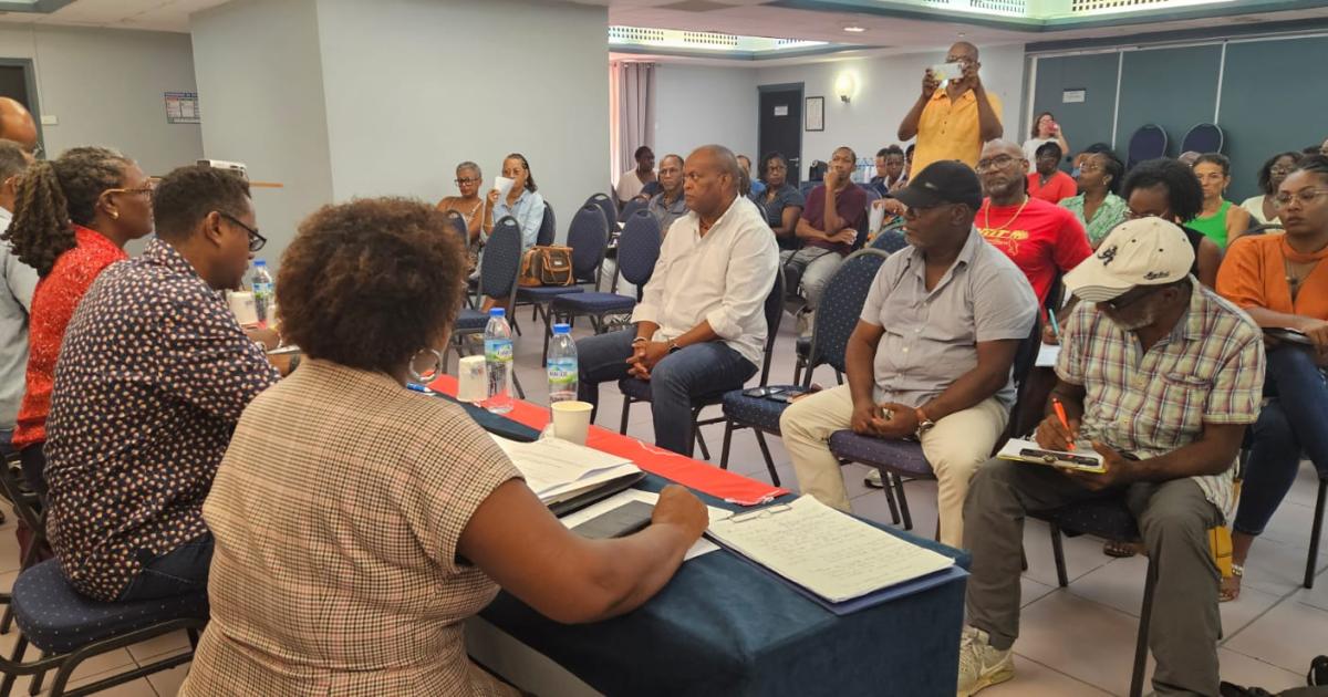 « La situation de la santé en Martinique est alarmante »