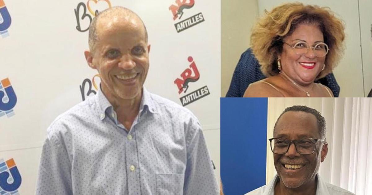 Sénatoriales en Martinique : les 3 enseignements du politologue Justin Daniel