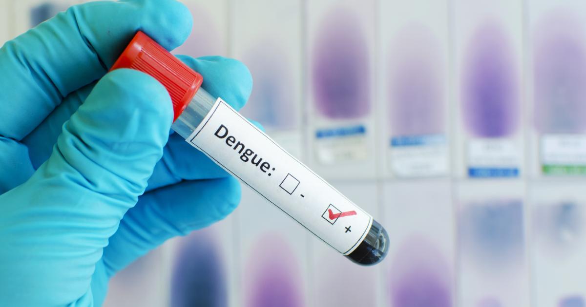 La dengue progresse dans l’Hexagone