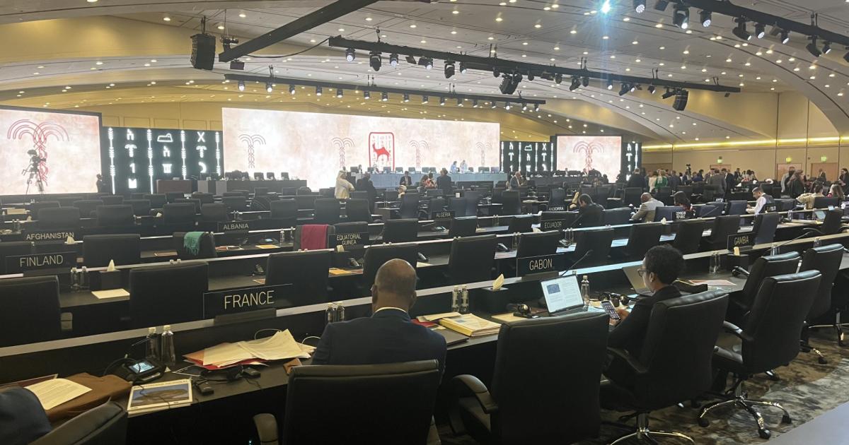     





[Direct] Ce qui va se passer ce samedi pour l'entrée de la Martinique à l'UNESCO




