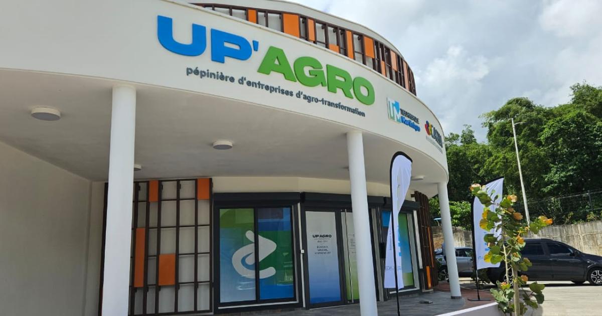    





« Up Agro », un nouvel outil pour les entrepreneurs en agro-transformation




