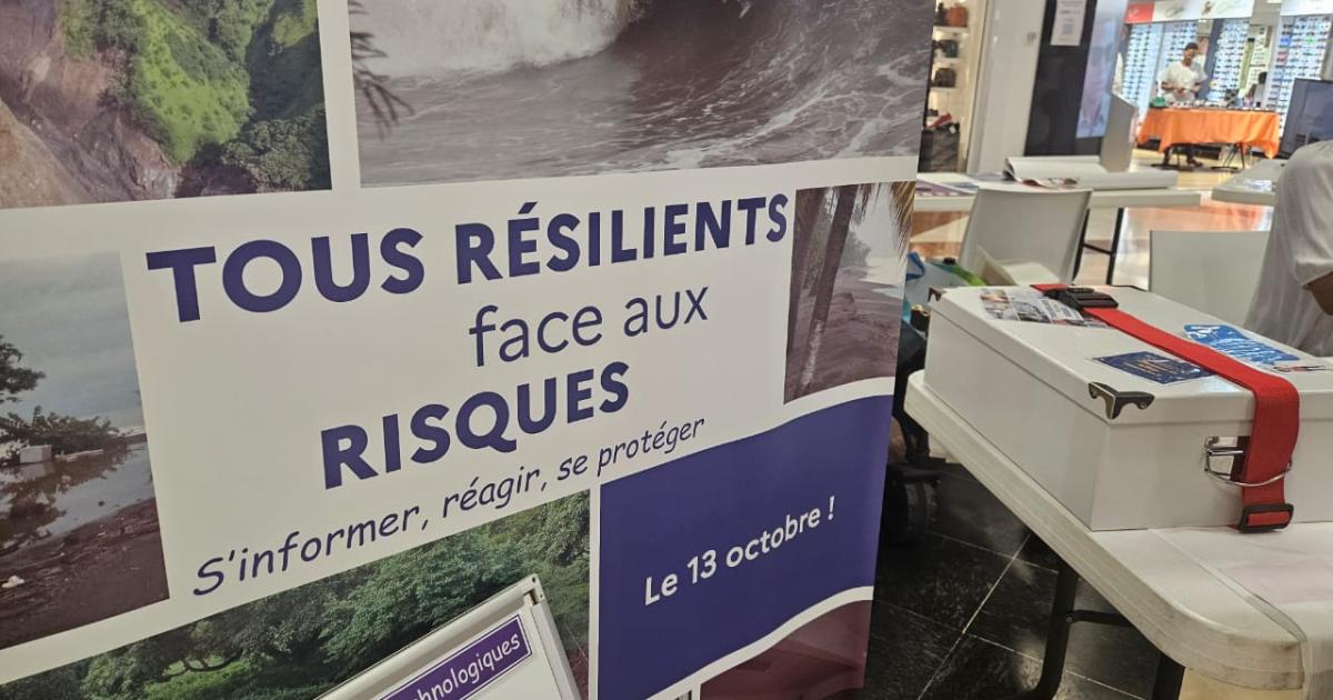     





Journée nationale de la résilience : comment se préparer face aux risques naturels ? 





